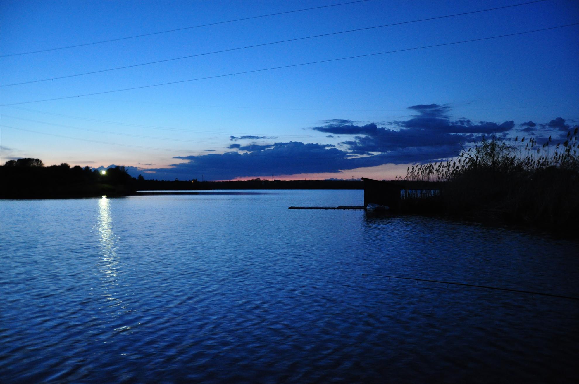  GREENFISH - dsc0179.JPG